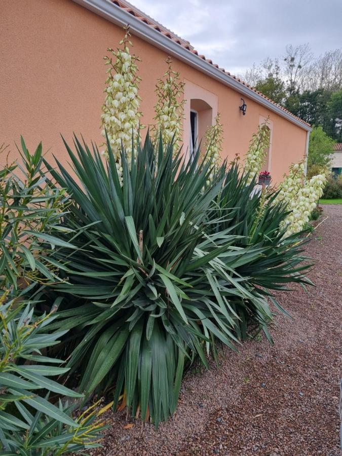 Le Logis Du Marais Bed & Breakfast Les Magnils-Reigniers Exterior foto